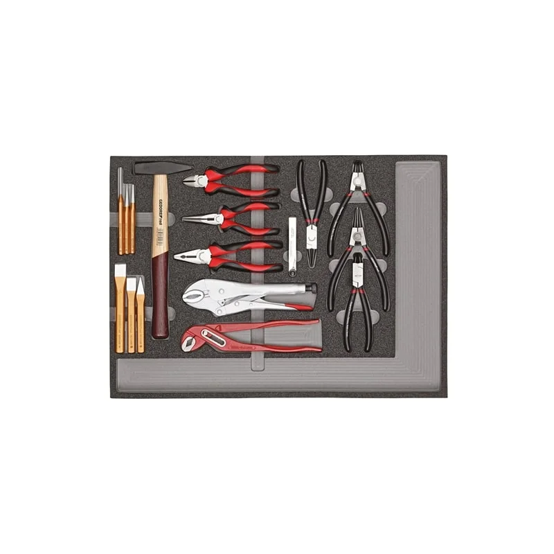 Precision Pliers for Fine Work-Gedore R22350001Tool set pliers+strik.tools CT 29pcs